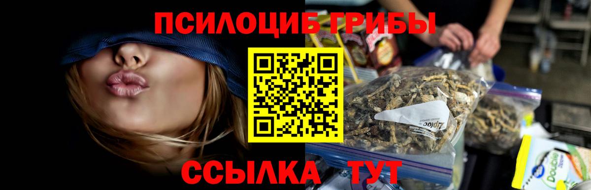 Галлюциногенные грибы ЛСД  Вход с VPN  даркнет сайт  Моздок 